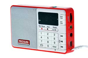 �������� Tecsun Q3